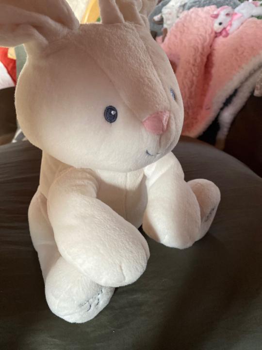 Singing bunny baby toy